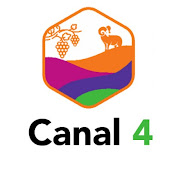 Canal 8